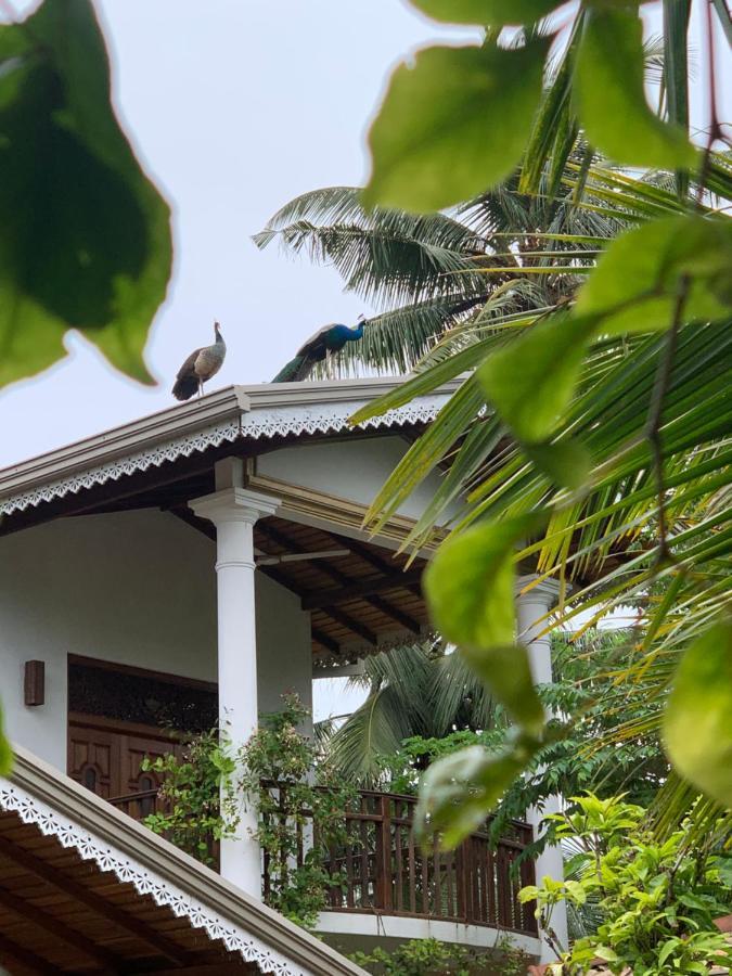 Neli Guests House Hotel Unawatuna Exterior foto